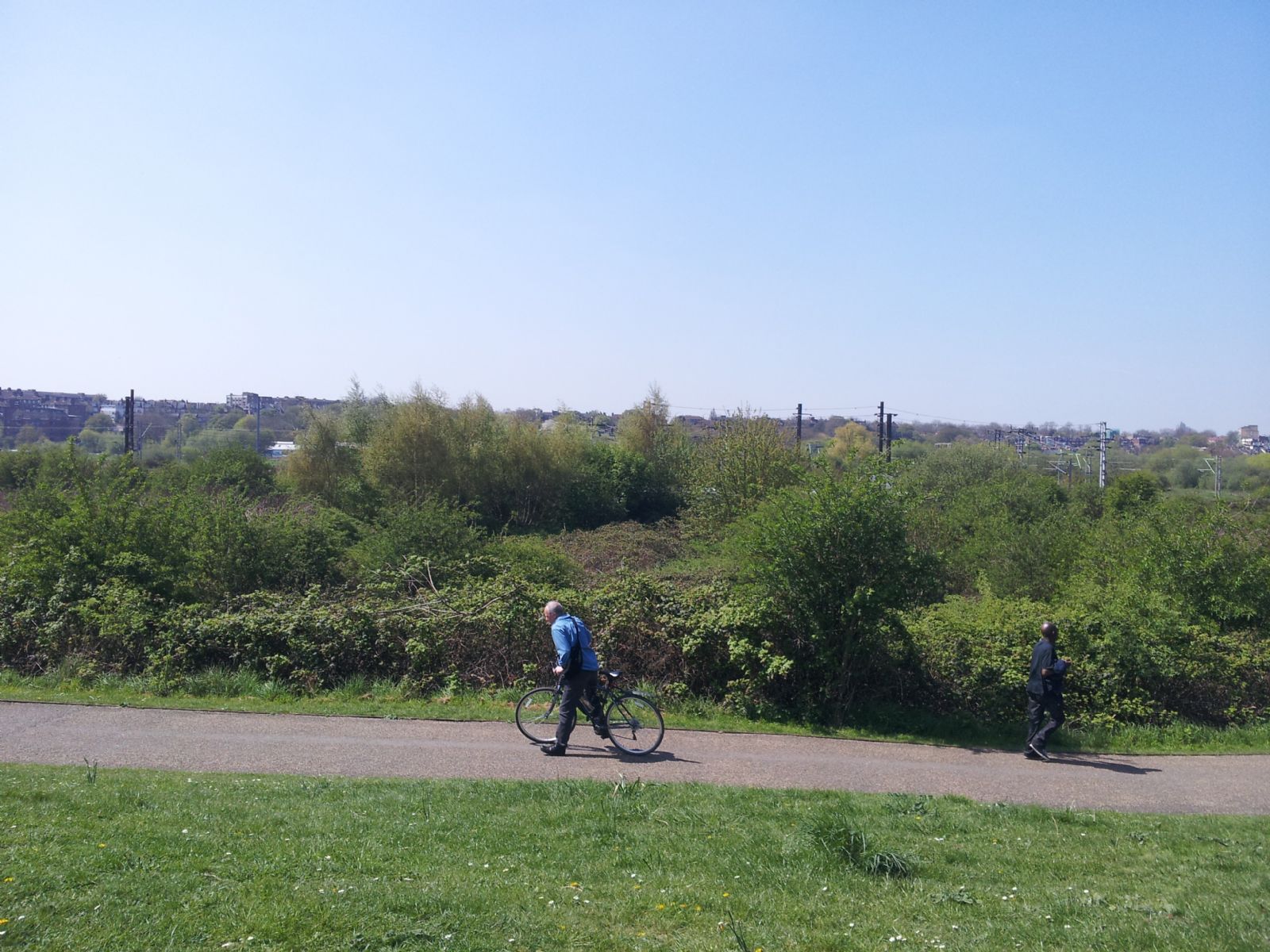 Walthamstow Marshes